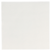 Serviette Ecolabel Double Point 20x20 cm